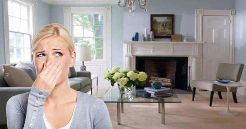 kötü koku giderme temizliği