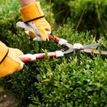 izmir peyzaj hizmetleri